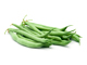 <br />
<b>Notice</b>:  Trying to get property of non-object in <b>/var/www/vhosts/6tems.es/subdomains/cuinatsorigen/httpdocs/seccio/fitxaProductes.php</b> on line <b>172</b><br />
