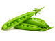 <br />
<b>Notice</b>:  Trying to get property of non-object in <b>/var/www/vhosts/6tems.es/subdomains/cuinatsorigen/httpdocs/seccio/fitxaProductes.php</b> on line <b>172</b><br />
